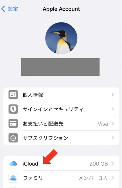 設定アプリで「Appleアカウント」を開く